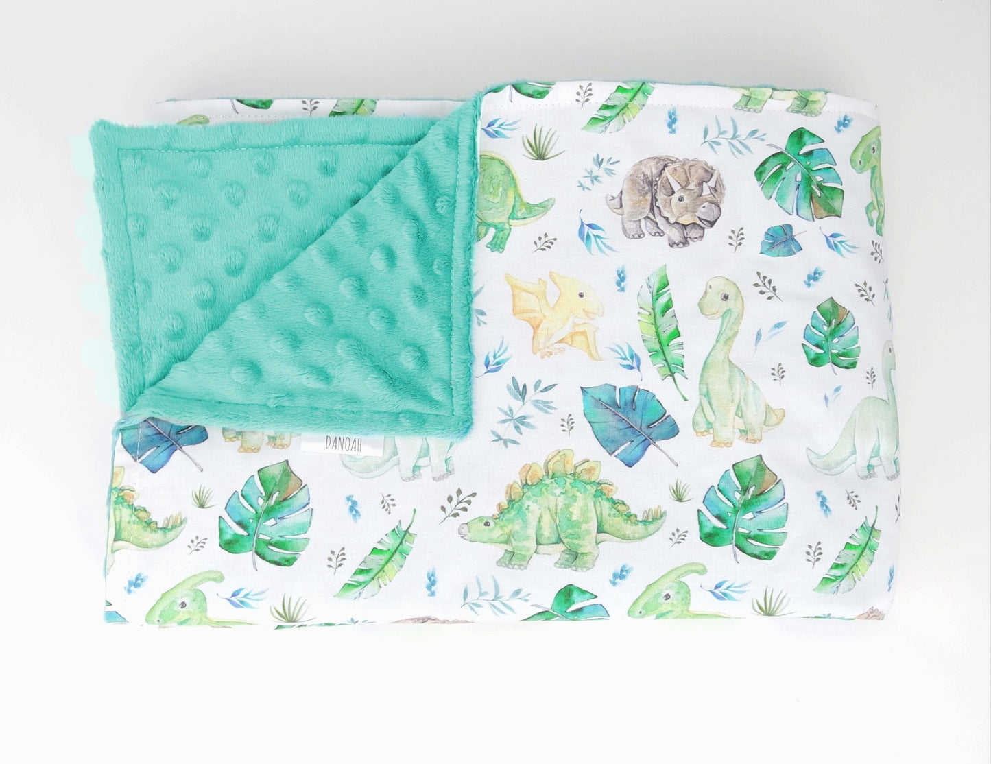 Little Dinosaur Minky Baby Blanket