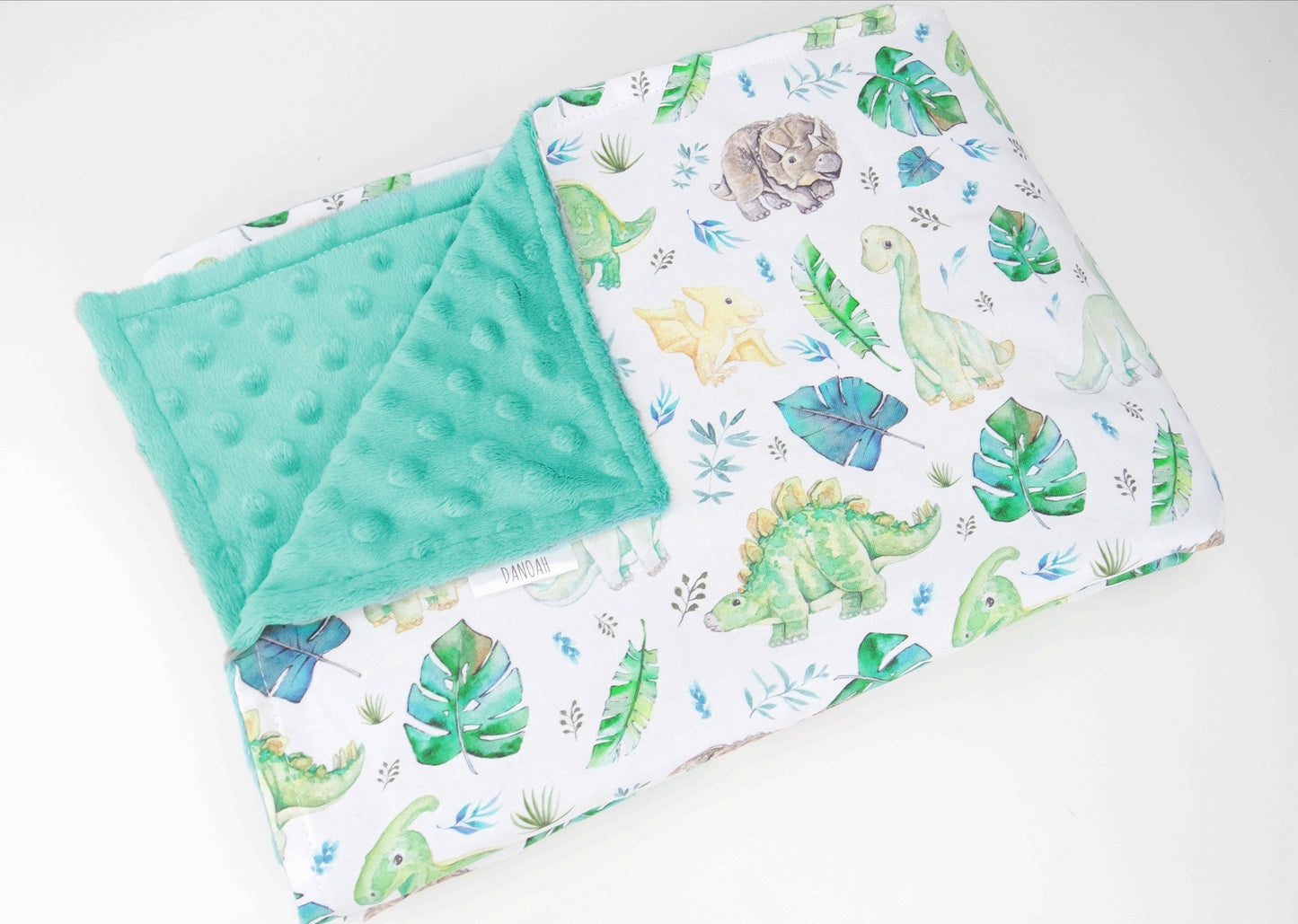 Little Dinosaur Minky Baby Blanket