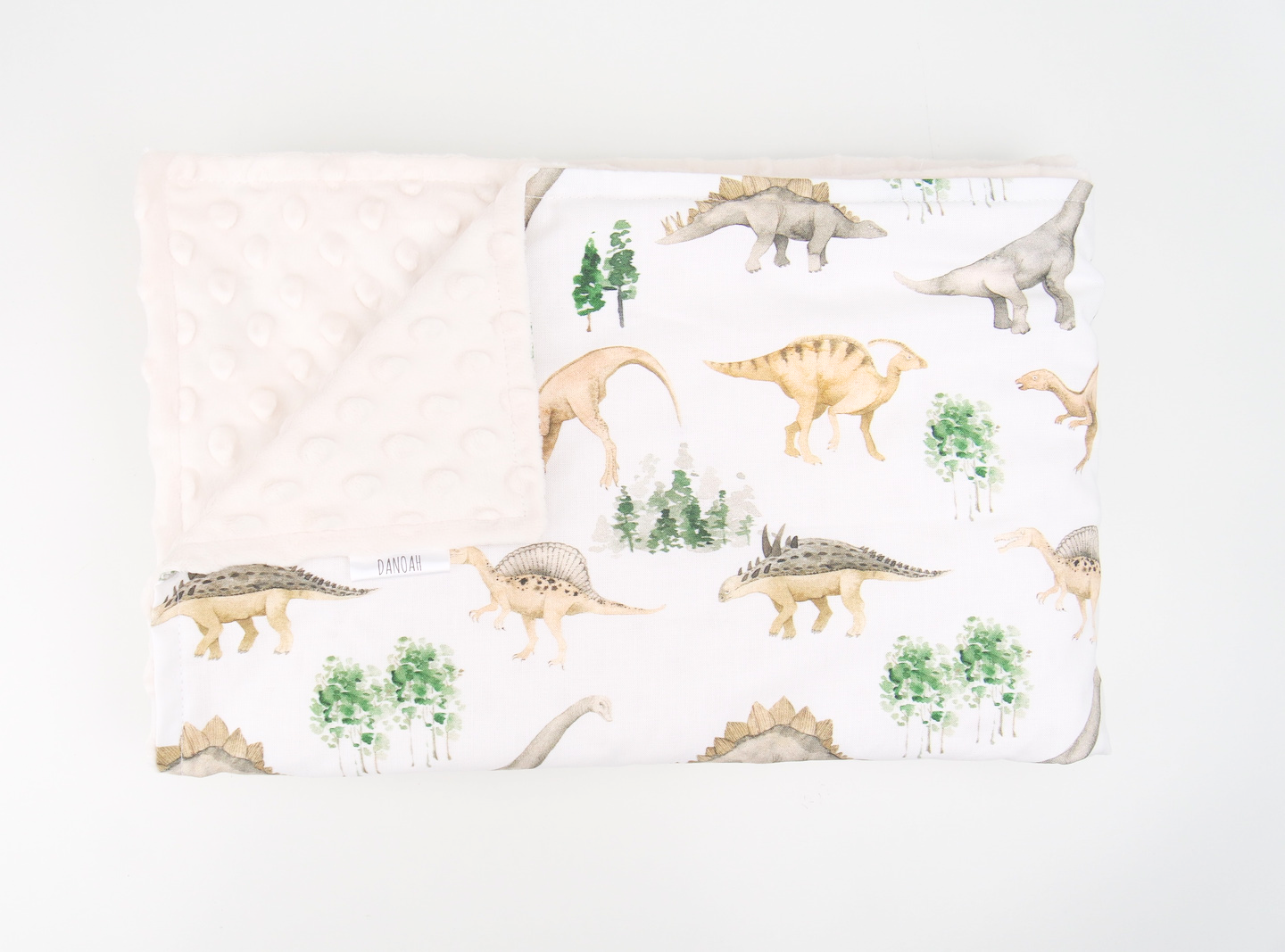 Dinosaur minky blanket sale