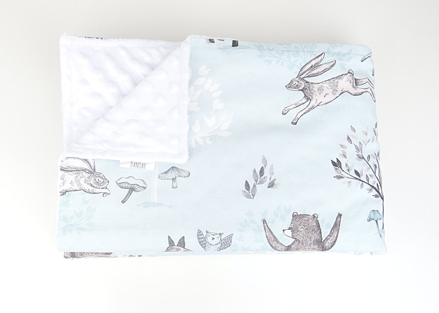 Tortoise and the Hare Minky Baby Blanket's - BLUE