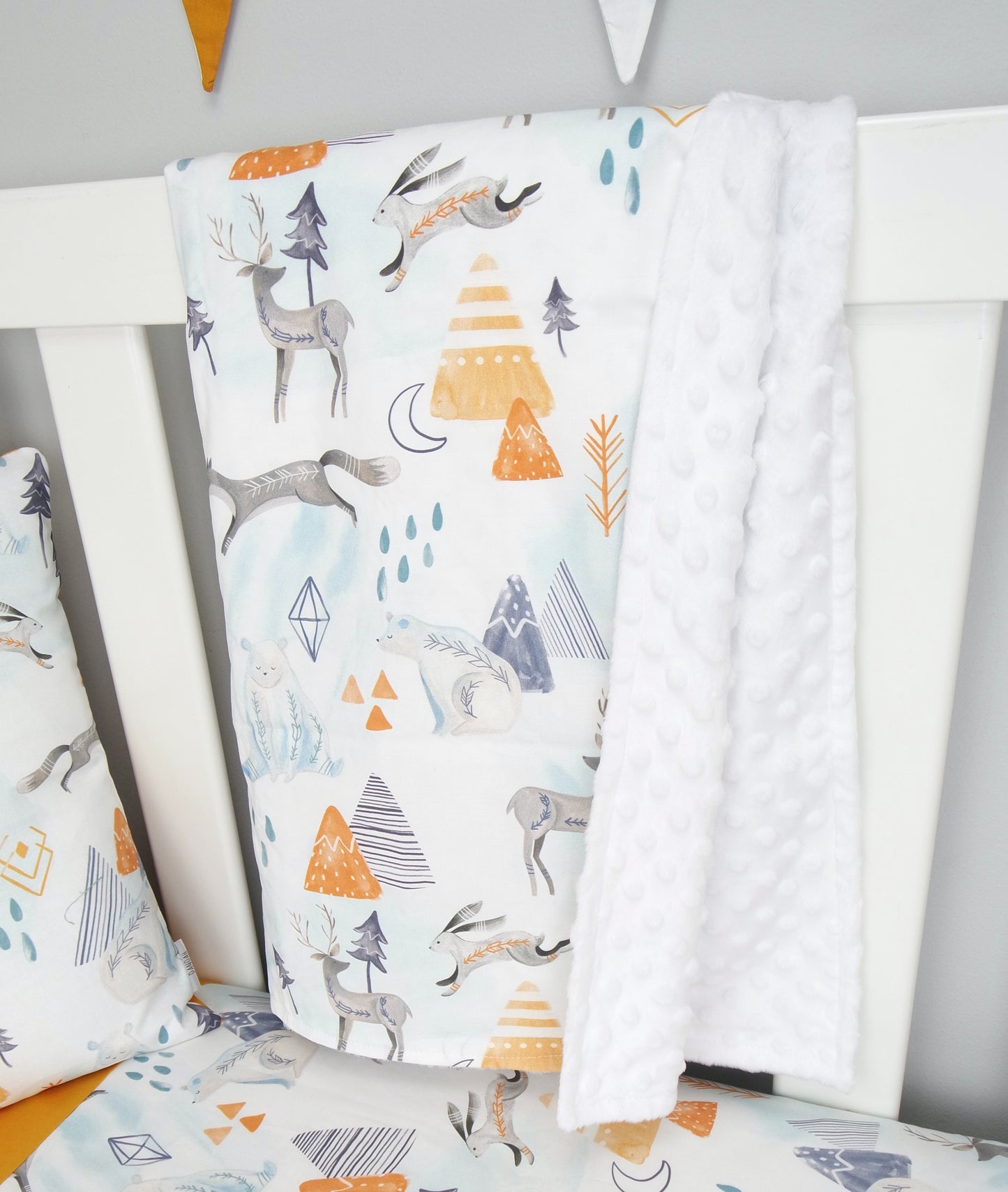 Arctic Adventure Minky Baby Blanket