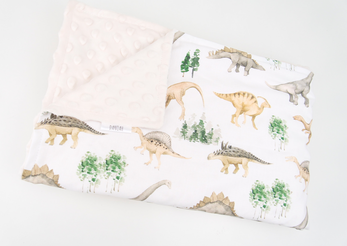 Lazy Dinosaur Minky Baby Blanket