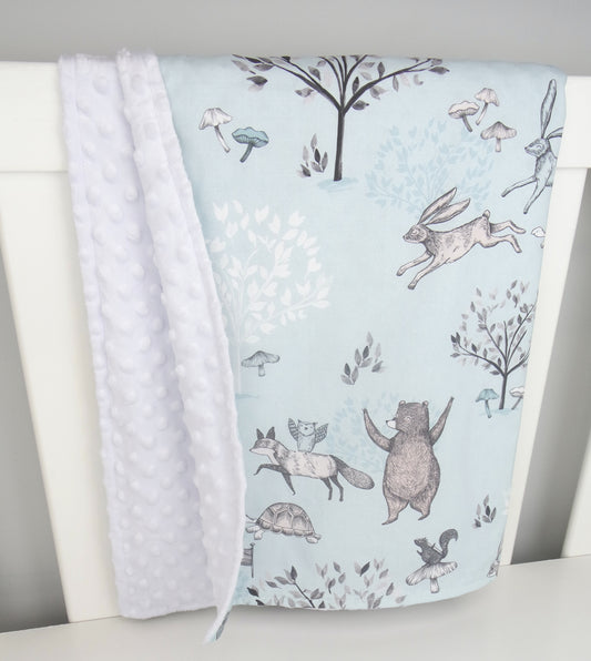 Tortoise and the Hare Minky Baby Blanket's - BLUE