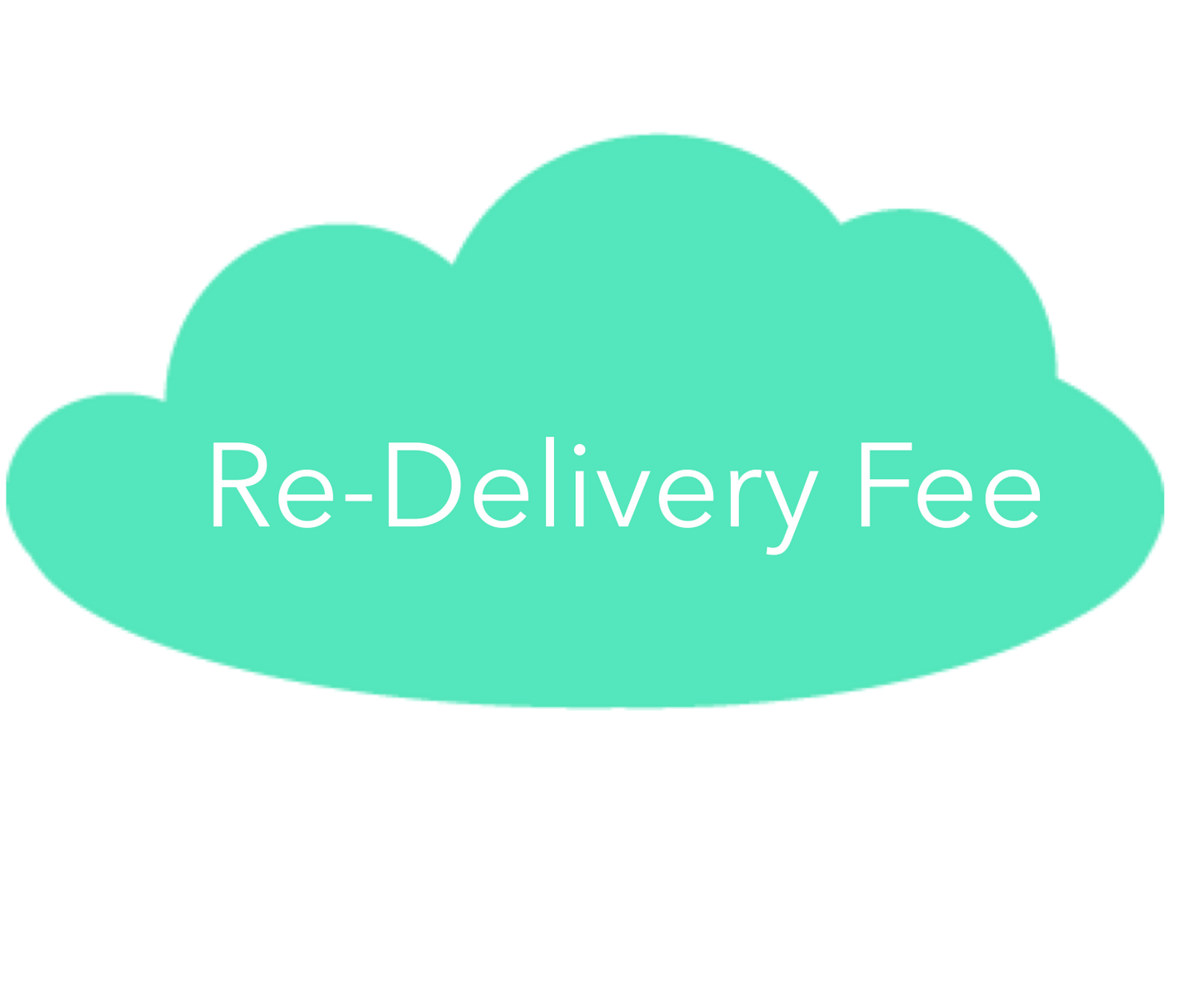 RE-DELIVERY FEE